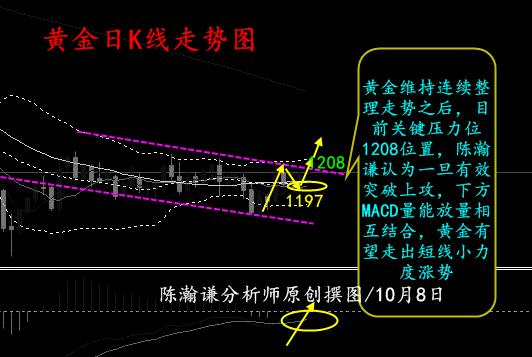 黄金.jpg